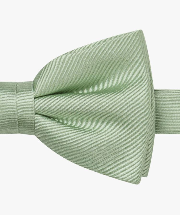 PP2V00010B BOWTIE SILK WOVEN LIGHT GREEN Z1 Light green
