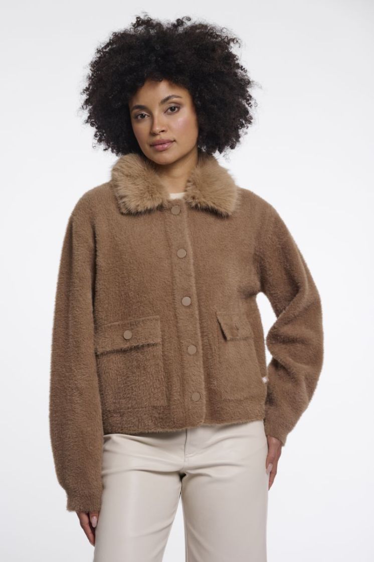 Jacket with detachable collar Toast