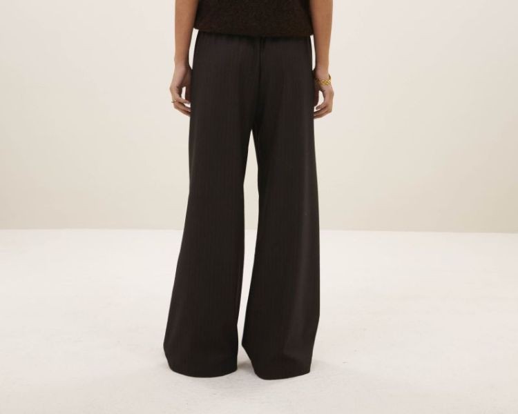 PELLE PINSTRIPE PANTS 1728 brown pins